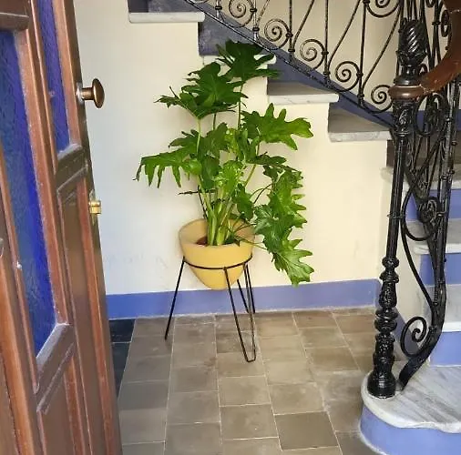 Romantic House Spettacolare Vista Mare Chiama Il Numero Trecentosettantasette Cinquantanove 38723 招待所 阿尔盖罗